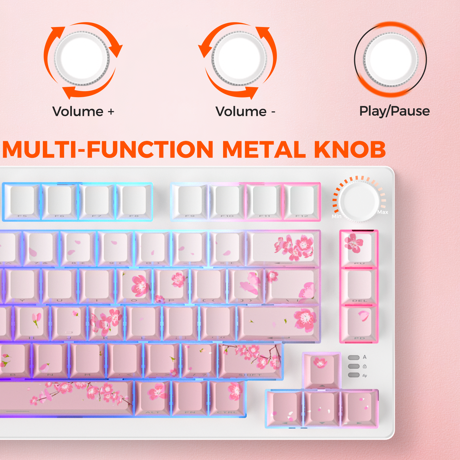 DAREU Tri-mode Gasket Mechanic - Anti-Ghosting Keyboard のレビューと価格