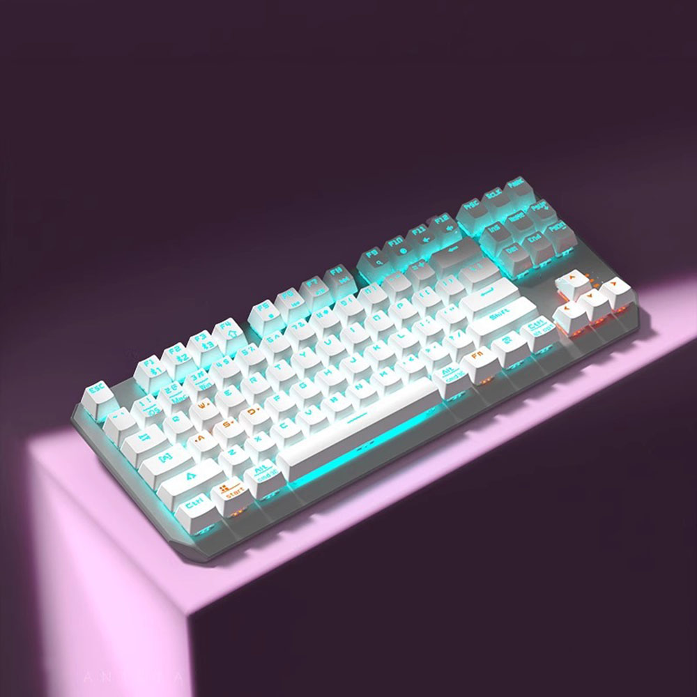 87-Key Mechanical Gaming Keybo - Anti-Ghosting Keyboard のレビューと価格