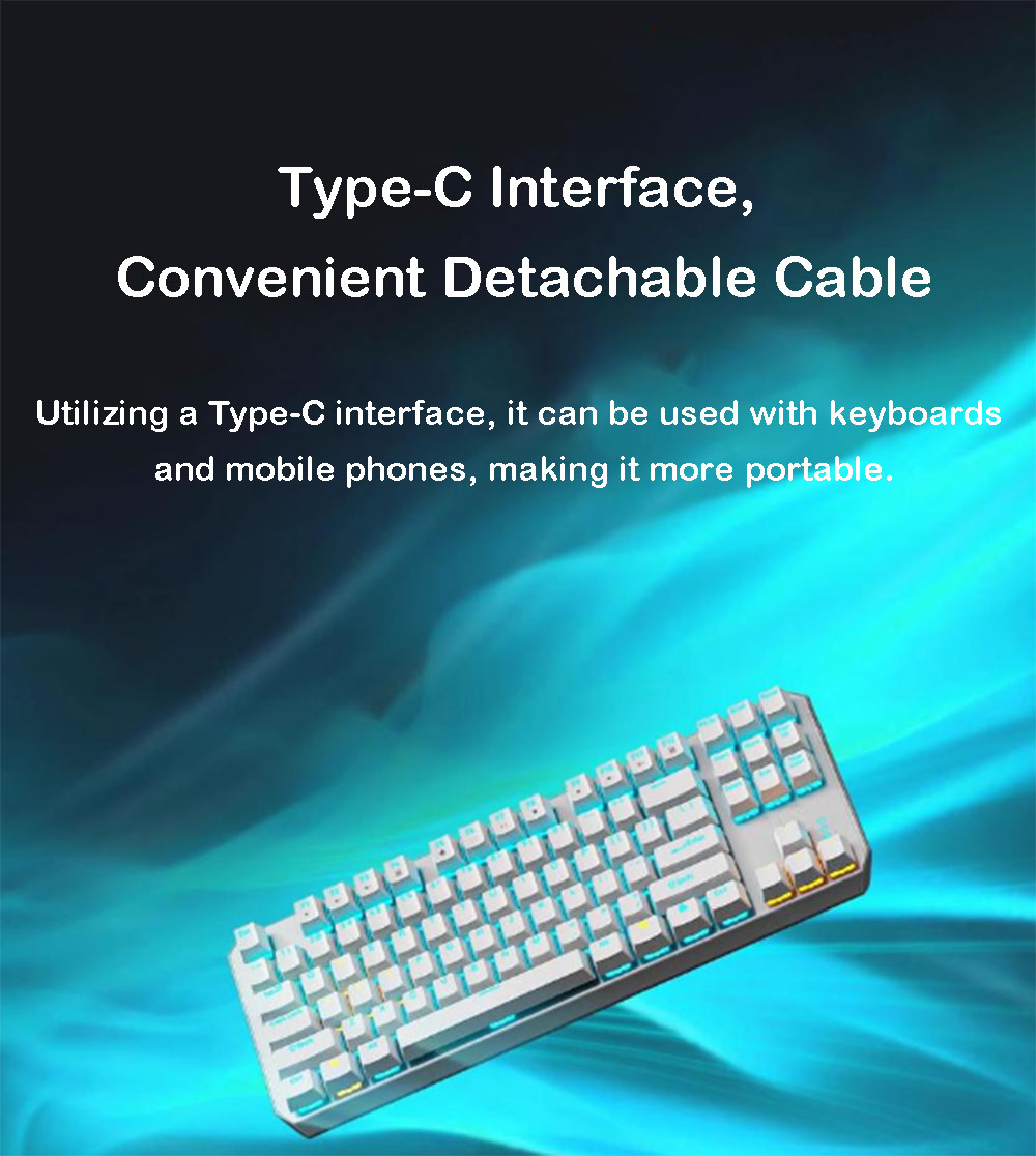87-Key Mechanical Gaming Keybo - Anti-Ghosting Keyboard のレビューと価格